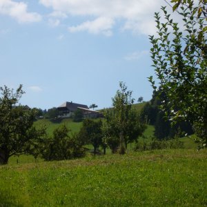 Blick zum Elmighof in Welschensteinach