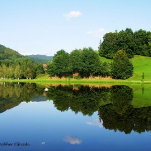 Teich in Waldhausen