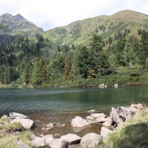 scheiblsee