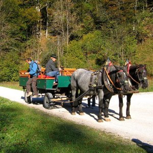 Ehemals ein Feuerwehrfahrzeug (1/2)