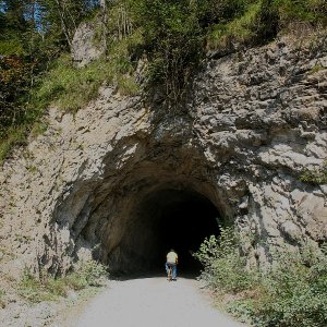 Waldbahn Reichraminger Hintergebirge