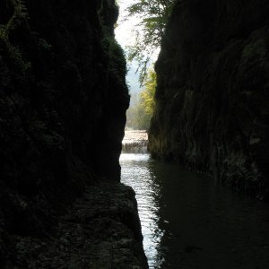 Waldbahn Reichraminger Hintergebirge