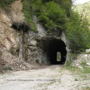 Waldbahn Reichraminger Hintergebirge