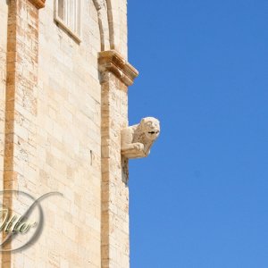 Kathedrale San Nicola Pellegrino von Trani