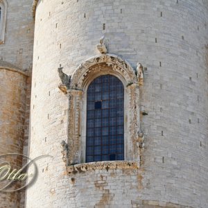 Kathedrale San Nicola Pellegrino von Trani