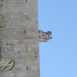 Kathedrale San Nicola Pellegrino von Trani