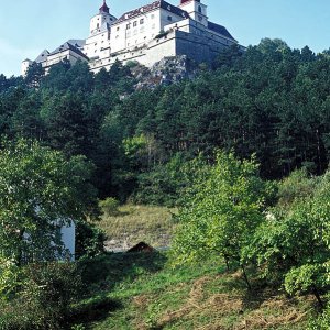 Burg Forchtenstein