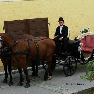 Hochzeitskutsche