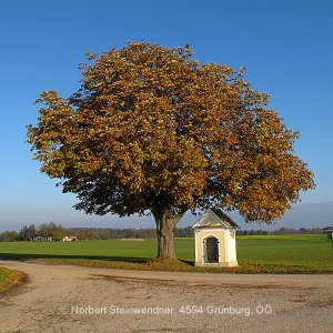 Bildstock im Herbst