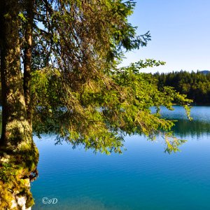 Lago di Fusine 1