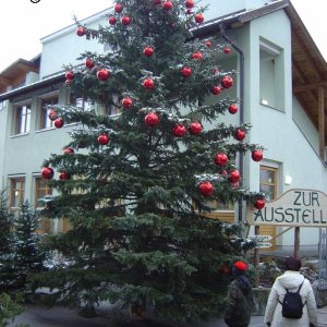 riesiger Christbaum