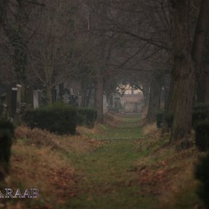 Wiener Zentralfriedhof