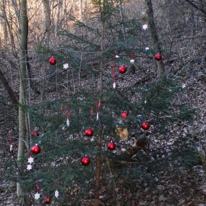 Weihnachtsbaum