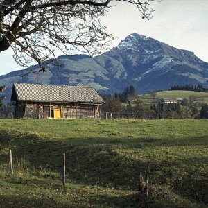 Kitzbüheler Horn 1966