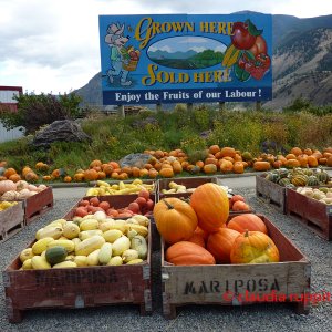 Obstdirektverkauf im Similkameen Valley, Kanada