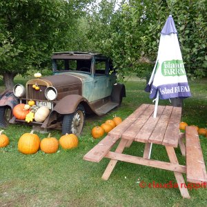 Obstdirektverkauf im Similkameen Valley, Kanada