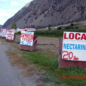 Obstdirektverkauf im Similkameen Valley, Kanada