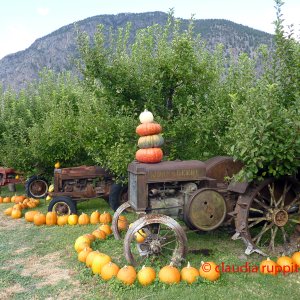 Oldtimer im Similkameen Valley, Kanada