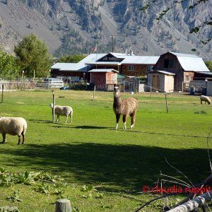 Farm im Similkameen Valley, Kanada