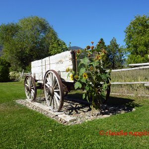 Ausgedienter Fuhrwagen im Similkameen Valley, Kanada