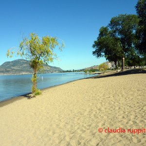 Strand am Okanagan Lake, BC, Kanada