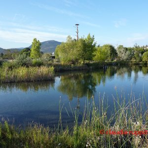 Biotop in Kelowna, BC, Kanada