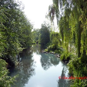 Vancouver, Stanley Park