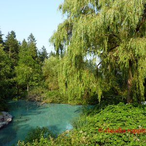 Vancouver, Stanley Park