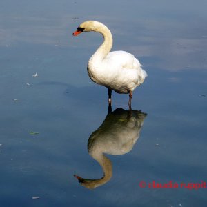 Vancouver, Stanley Park