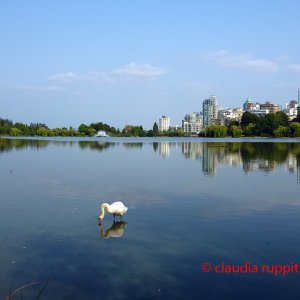 Vancouver, Stanley Park