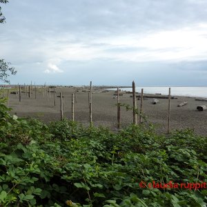 Vancouver, Pacific Spirit Regional Park