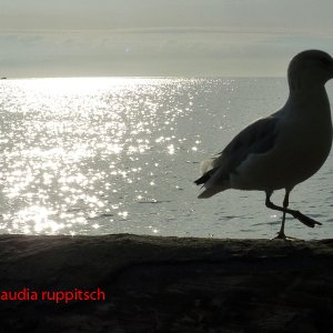 Vancouver, Pacific Spirit Regional Park