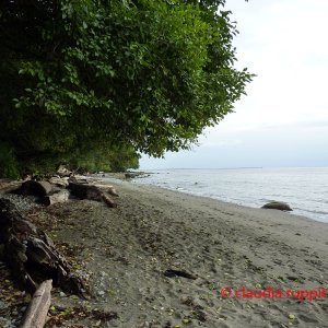 Vancouver, Pacific Spirit Regional Park