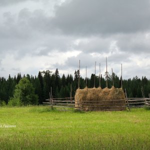 Heuschober im Feld