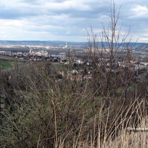 Blick auf  Klosterneuburg