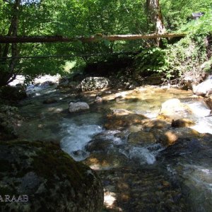 Wentsteinhammer in Hollenstein