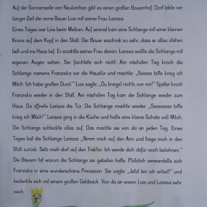 Die verzauberte Schlangenprinzessin