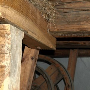 Wohnen in der Windmühle