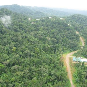 Arbeiten im Regenwald