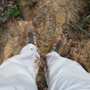 Arbeit im Regenwald Panamas