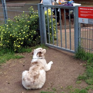 vor dem Spielplatz