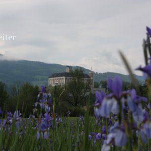 schloss trautenfels