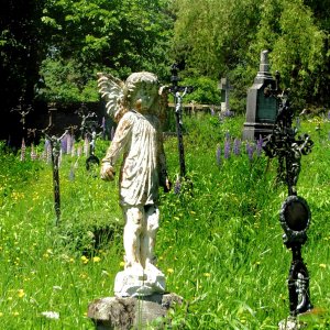 Kindergrab am Friedhof von Döllersheim