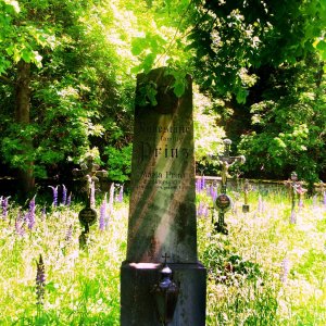 Friedhof von Döllersheim