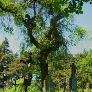 Friedhof von Döllersheim