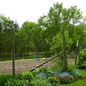 Organic Farming in Ontario