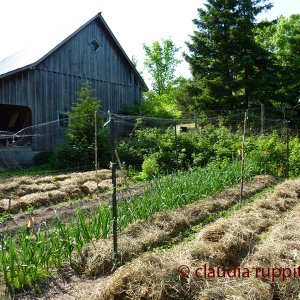 Organic Farming in Ontario