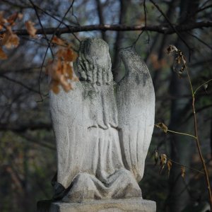 Friedhof St.Marx in Wien