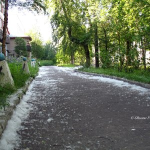 sommerschnee