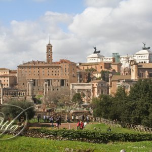 Blick auf das Forum Romanum in Rom